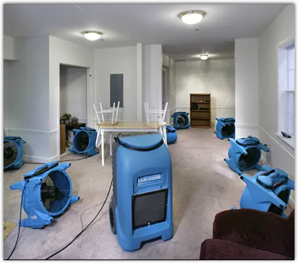 Basement Flood Cleanup in Bellair-Meadowbrook Terrace, FL