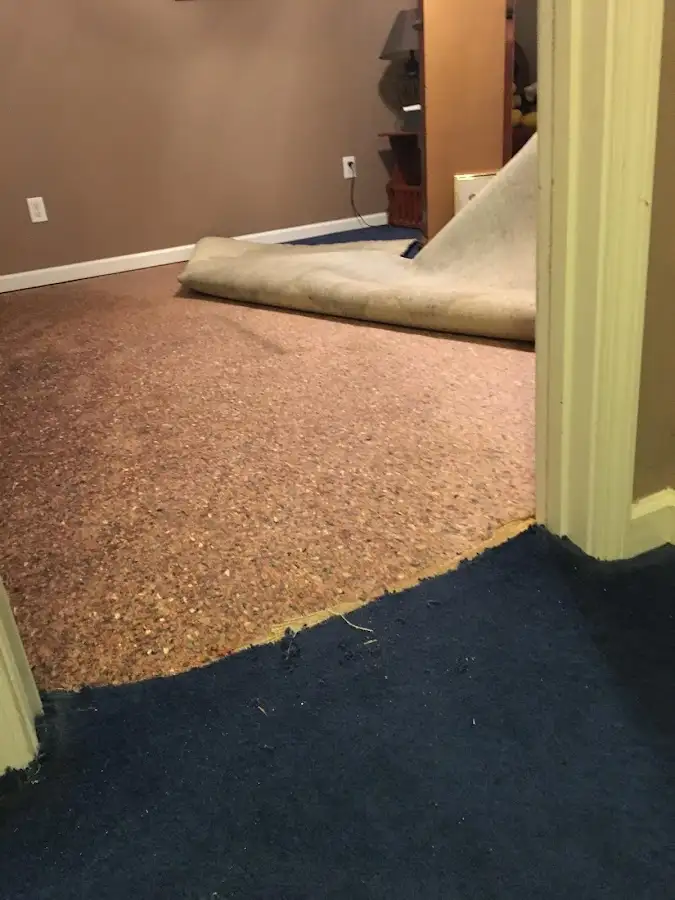 Carpet pad removal revealing water damage during Drying & Dehumidification in Bellair-Meadowbrook Terrace