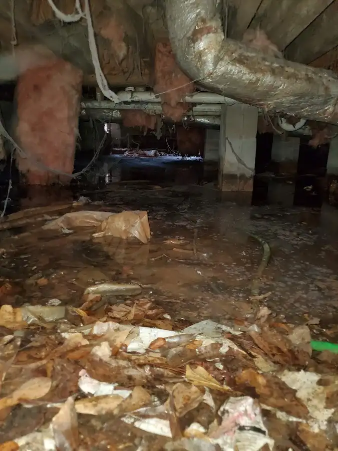 Crawl space flood assessment for Commercial Water Damage Restoration in Bellair-Meadowbrook Terrace