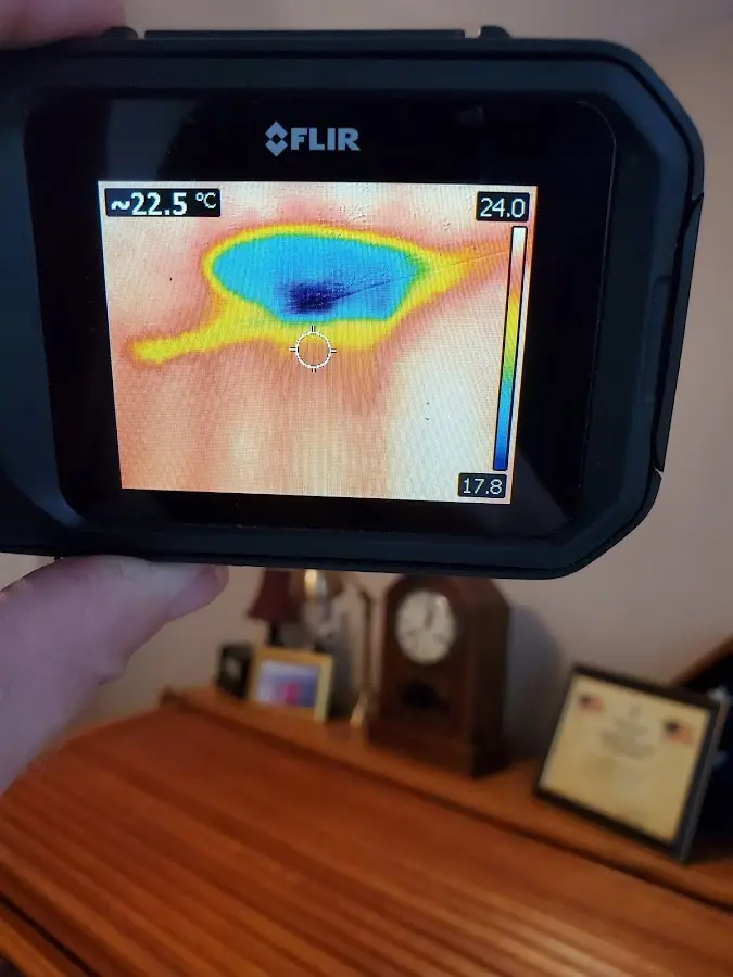 Thermal imaging inspection for water damage in Bellair-Meadowbrook Terrace