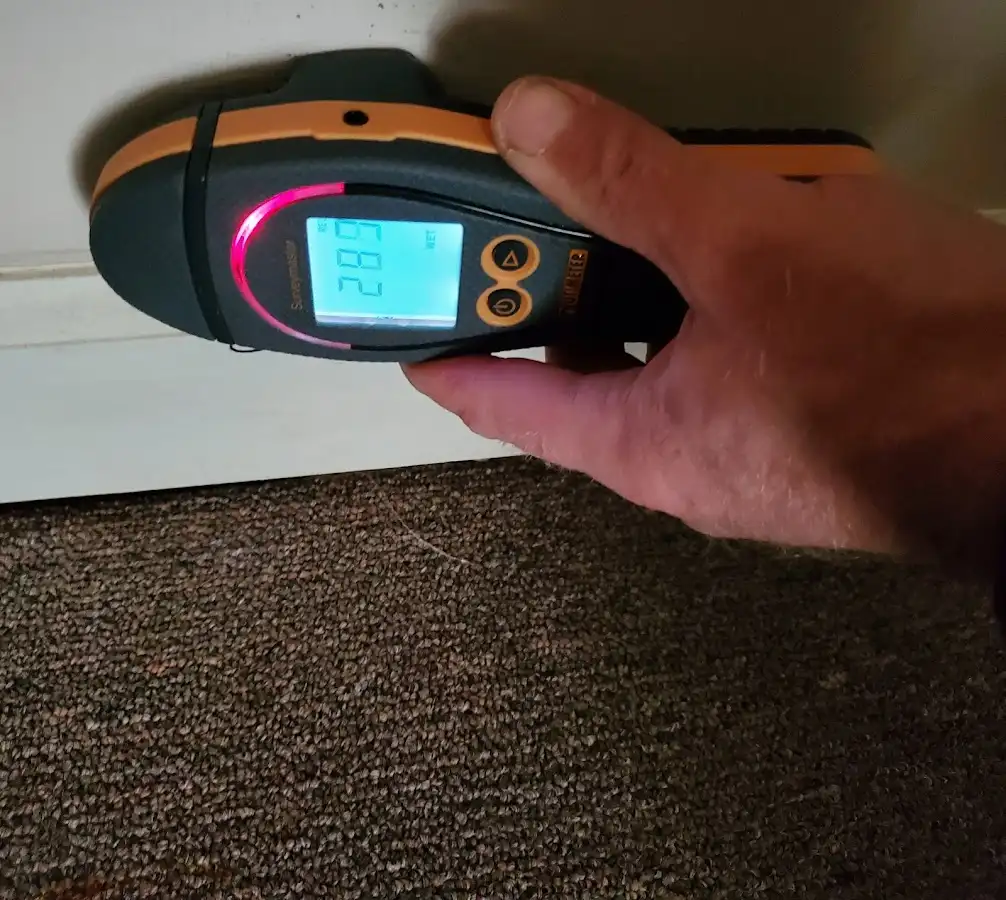Moisture detection at baseboard during Burst Pipe Cleanup in Bellair-Meadowbrook Terrace